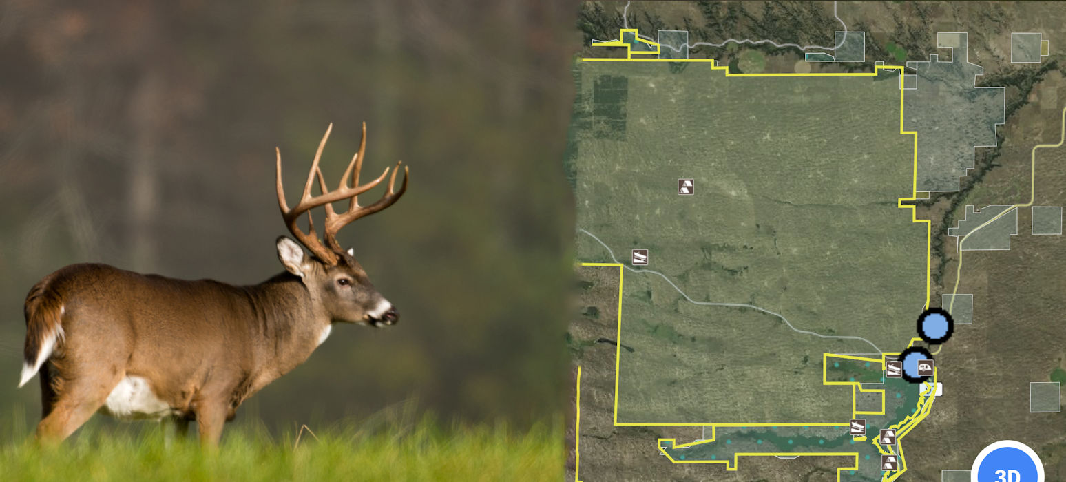 Public Land Whitetail Hunting Tactics For Saddle Hunting