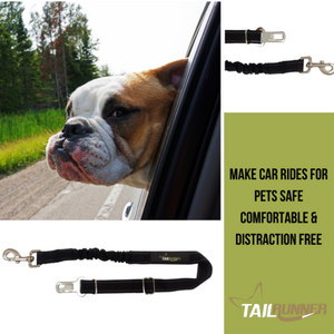 Tail Runner Seat Belt Restraint Tail Runner Seat Belt Restraint
