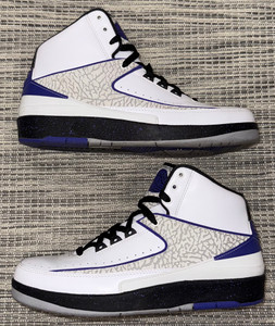 AIR JORDAN 2 "CONCORD" (SIZE 9)