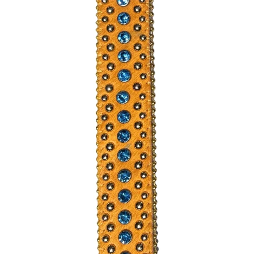 STOLEN ARTS CHARIZARD BELT