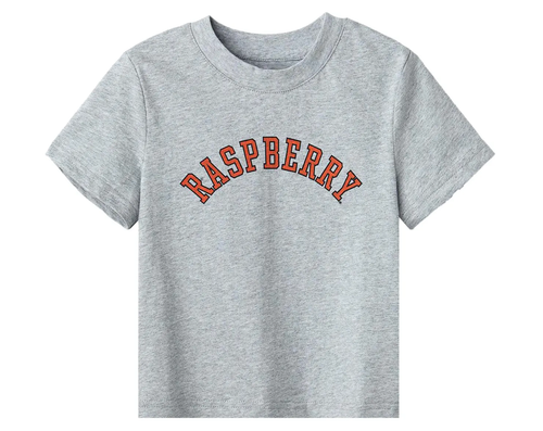 GV GALLERY KIDS HEATHER GREY TEE