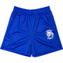 SAINT VANITY BLUE MESH SHORTS