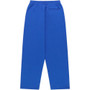 SP5DER BLUE RHINESTONE PUNK V2 PANTS