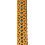 STOLEN ARTS CHARIZARD BELT