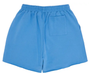 SP5DER DUSTY BLUE OG WEB V2 SHORTS