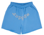 SP5DER DUSTY BLUE OG WEB V2 SHORTS