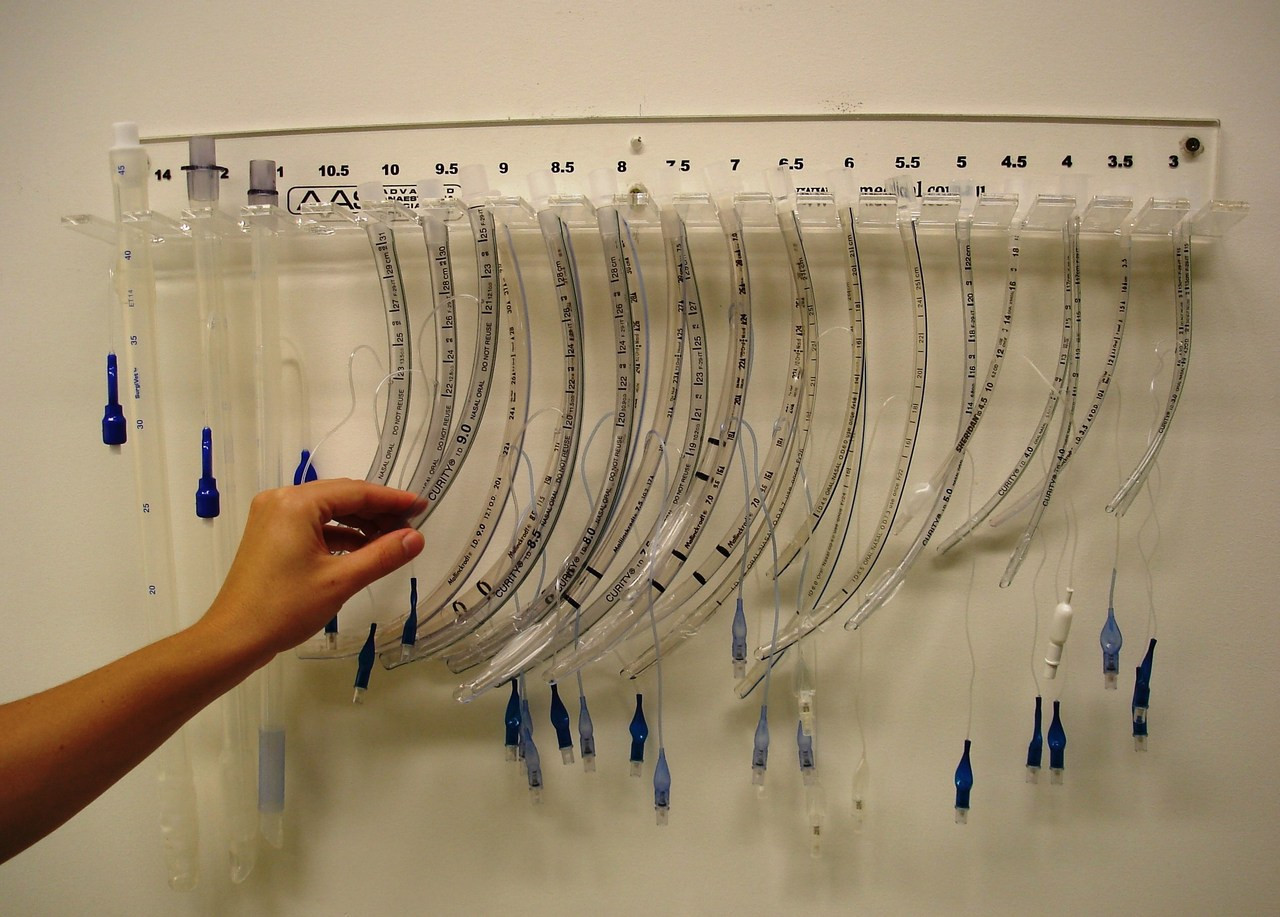 2078 Endotracheal Tube Rack in 2020 Veterinary, Veterinary clinic