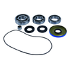 QuadBoss 2020 Can-Am Commander 1000/DPS/LTD/XT Front Differential Bearing & Seal Kit - 412795 Photo - Primary