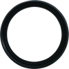 QuadBoss 00-06 Honda TRX350FM/FE FourTrax Rancher 4x4/ES Front Brake Drum Seal Kit - 413474 Photo - Primary
