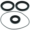 QuadBoss 02-08 Yamaha YFM660 Grizzly 4x4 Rear Differential Seal Kit - 414295 Photo - Primary