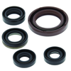 QuadBoss 06-09 Suzuki LT-R450 QuadRacer Oil Seal Set - 564175 Photo - Primary