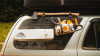 Sherpa - Window Panel - 3rd Gen 4Runner
