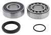 All Balls Racing 15-17 Arctic Cat ZR 4000 EFI Jack Shaft Bearing & Seal Kit Upper Shaft - 14-1071 Photo - Primary
