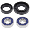 All Balls Racing 00-08 Yamaha TTR125L Disc Brake Wheel Bearing Kit - Front - 25-1041 Photo - Primary