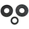Vertex Pistons Pwc Oil Seal Kit - 622116 Photo - Primary