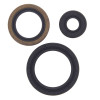 Vertex Gaskets 00-02 Polaris Magnum 325 2x4 Oil Seal Kit - 822143 Photo - Primary