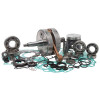 Vertex Honda Complete Engine Rebuild Kit - WR101-014 Photo - Primary