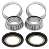 All Balls Racing 2019 Sherco SC-R 125 Steering Bearing Kit - 22-1024 Photo - Primary