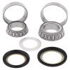 All Balls Racing 19-22 Suzuki DR-Z50 Steering Bearing Kit - 22-1042 Photo - Primary