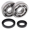 All Balls Racing 89-01 Suzuki RM80 Crank Shaft Bearing Kit - 24-1014 Photo - Primary