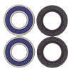 All Balls Racing 77-84 Honda FL250 Wheel Bearing Kit Front - 25-1070 Photo - Primary