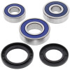 All Balls Racing 87-94 Kawasaki EL250 Wheel Bearing Kit Rear - 25-1234 Photo - Primary