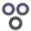 All Balls Racing 85-86 Kawasaki ZL900 Eliminator Wheel Bearing Kit Rear - 25-1353 Photo - Primary