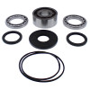 All Balls Racing 2018 Polaris RZR 4 900 Differential Bearing & Seal Kit Front - 25-2116 Photo - Primary