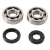 Hot Rods 01-04 Yamaha YZ 125 125cc Main Bearing & Seal Kit - K010 Photo - Primary