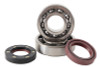 Hot Rods 88-06 Yamaha YFS 200 Blaster 200cc Main Bearing & Seal Kit - K017 Photo - Primary