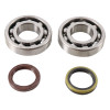 Hot Rods 10-20 Suzuki RM-Z 250 250cc Main Bearing & Seal Kit - K074 Photo - Primary
