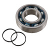 Hot Rods Bearing/Seal Kit - K081 Photo - Primary