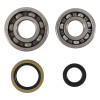 Hot Rods 89-94 Suzuki RMX 250 250cc Main Bearing & Seal Kit - K231 Photo - Primary