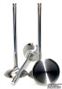 GSC P-D Audi V10 5.2L 27mm Head STD 101.8mm Long Chrome Polished Alloy Exhaust Valve - Set of 10 - 2251-10 User 1