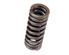BLOX Racing Valve Springs for D-series SOHC VTEC D16Z-Y (1.6L SOHC VTEC) - BXPT-20301 Photo - Primary