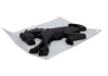Photo - Unmounted