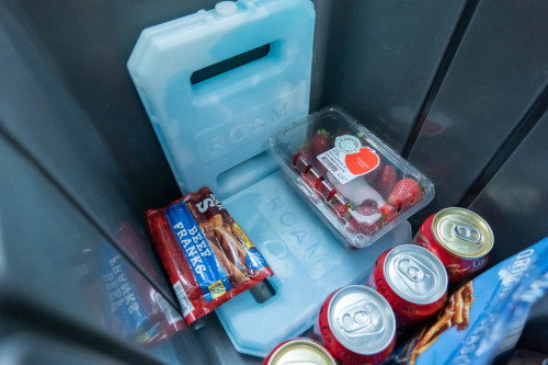 Roam Adventure - 3LB Ice Pack Roam Adventure - 3LB Ice Pack