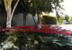 PERRIN 13-15 Subaru BRZ/Crosstrek & 14-15 Forester / 13-15 Scion FR-S Shorty Antenna - 2in. Mast - PSP-BDY-126 Photo - Primary