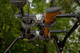 Seizmik 01+ Can Am/ Honda/ Kawasaki/ Kubota UTV OHGR 2 Gun Rack 2 in. Clamp - 7301 Photo - Primary