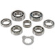 Hot Rods Hot Rods Trnsmssn Bearing Kit - TBK0065 Photo - Primary