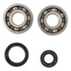 Hot Rods 90-97 Yamaha YZ 250 250cc Main Bearing & Seal Kit - K228 Photo - Primary