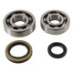 Hot Rods 89-94 Suzuki RMX 250 250cc Main Bearing & Seal Kit - K231 Photo - Primary