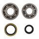 Hot Rods 89-94 Suzuki RMX 250 250cc Main Bearing & Seal Kit - K231 Photo - Primary