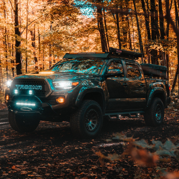 Lighting & Electronics