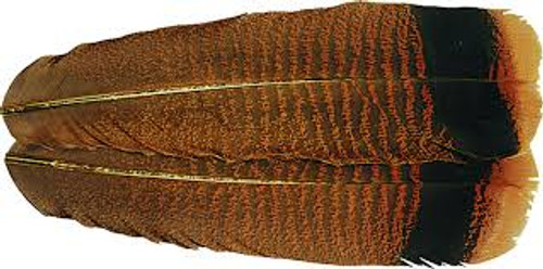 Wapsi Ozark Turkey Tail Cinnamon Tip