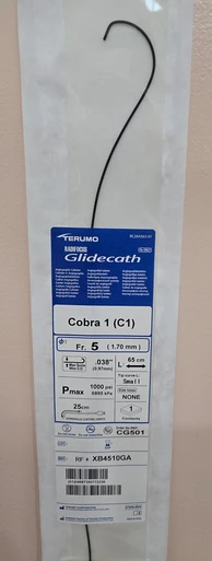 Terumo RF*XB4510GA Glidecath Hydrophilic Coated Catheter, CG501, 5Fr, 65 cm x 0.038", Tip Shape Cobra 1 (C1), Box of 05