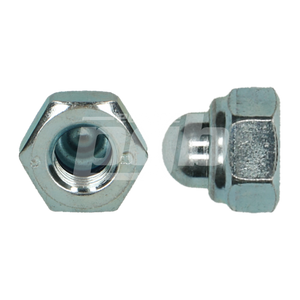 ZELFBORGENDE DOPMOER DIN 986 M20 ZN