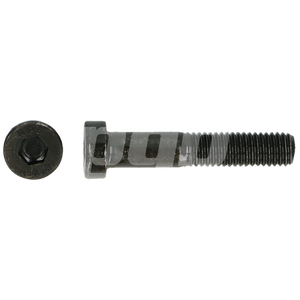 LAGE BZK-SCHROEF 8.8 DIN 7984 M 10X60
