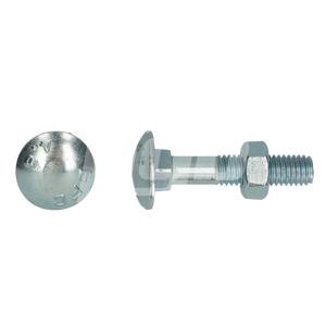 HOUTBOUT DIN 603/555 M6X30 ZN/BLISTER