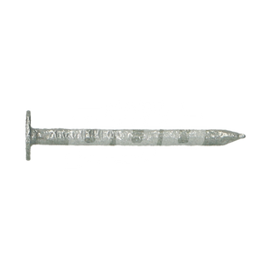 PLAFONNEERNAGEL 2,00X25 TVZ